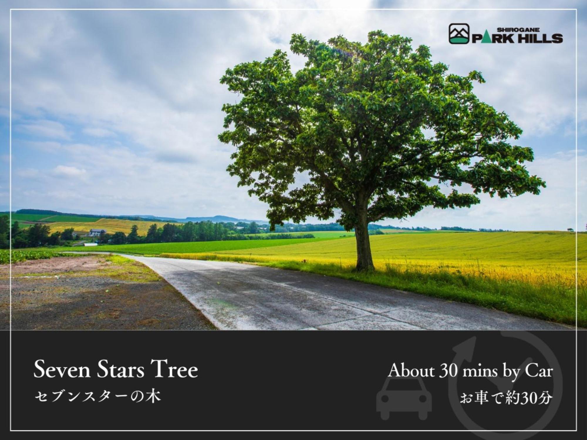 Biei Shirogane Onsen Hotel Park Hills Εξωτερικό φωτογραφία