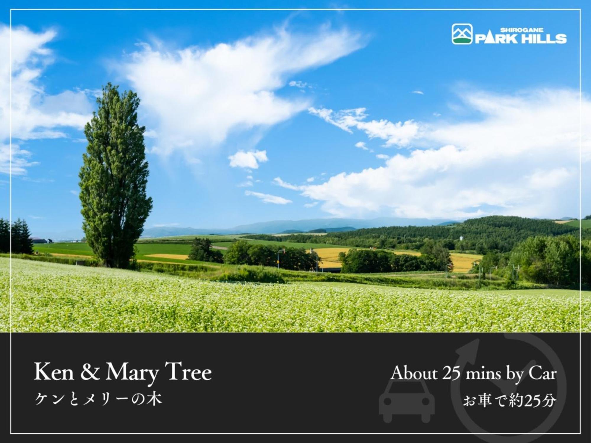 Biei Shirogane Onsen Hotel Park Hills Εξωτερικό φωτογραφία